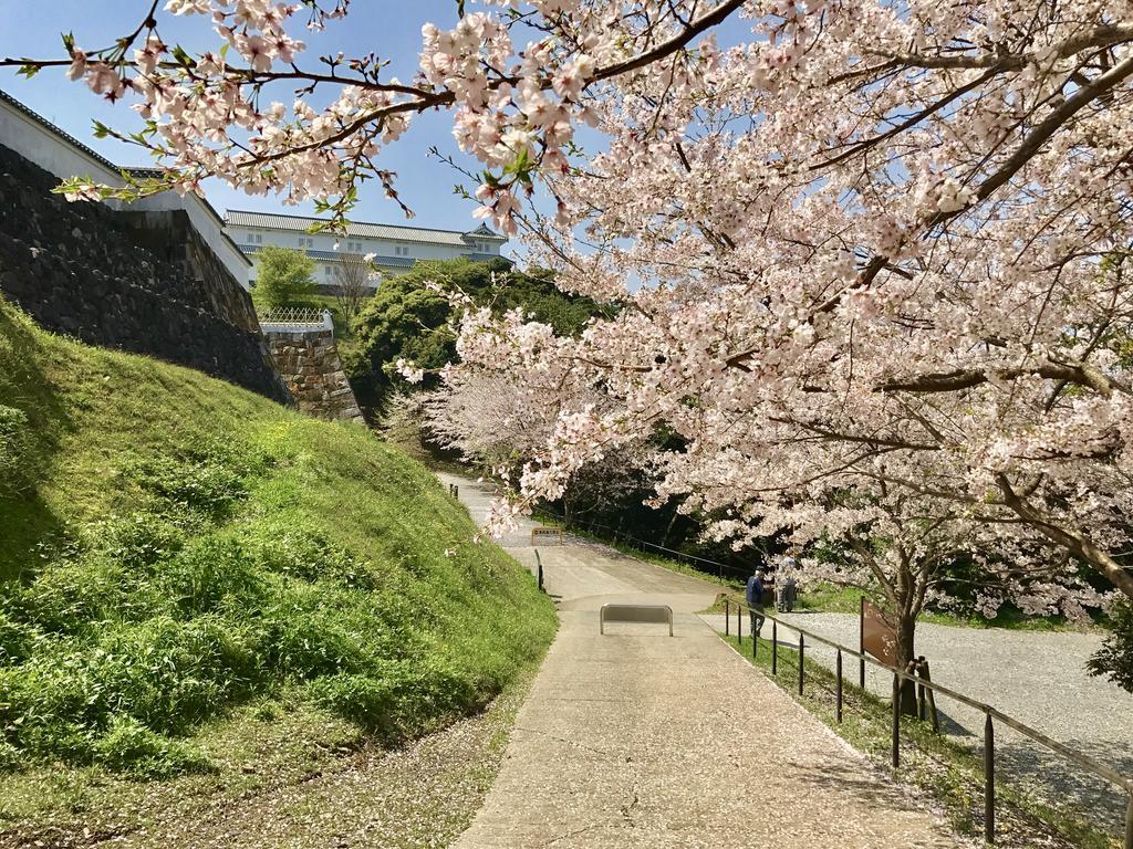 Minshuku Tairyoumaru Amakusa  Bagian luar foto