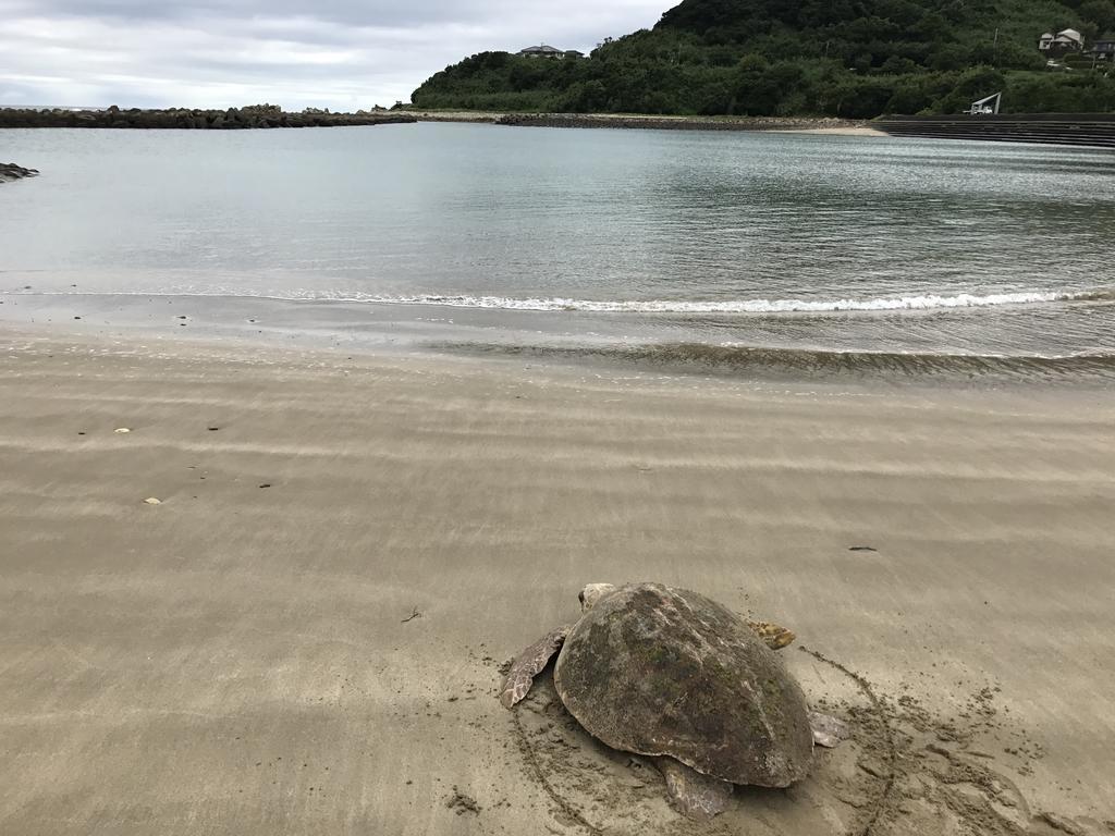 Minshuku Tairyoumaru Amakusa  Bagian luar foto